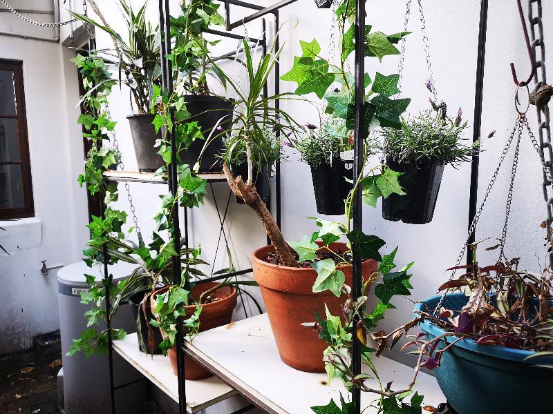 Newtown Cozy Stays Sydney Luaran gambar